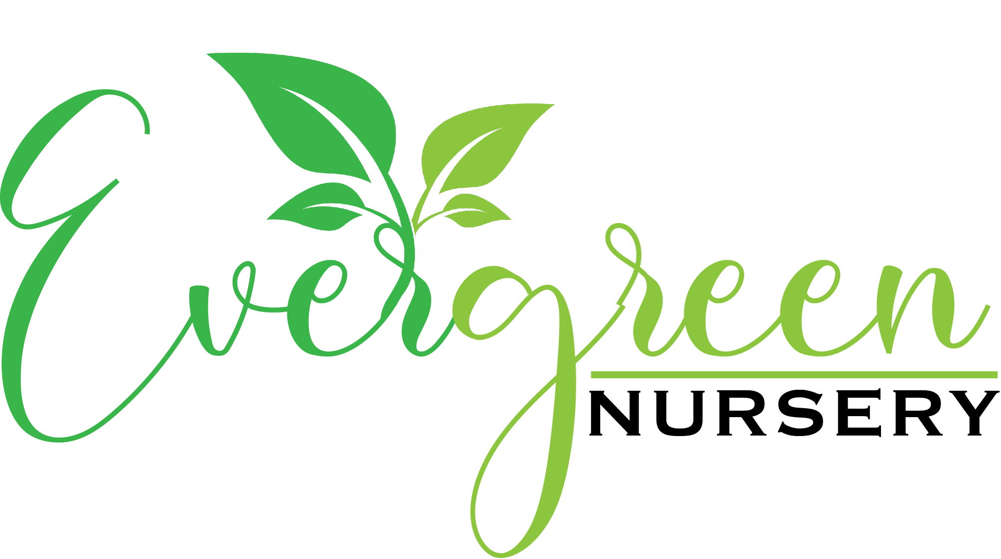 Evergreen Nursery